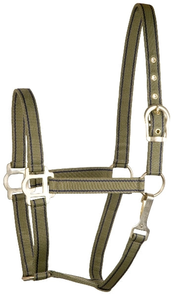 402072-olive.jpg