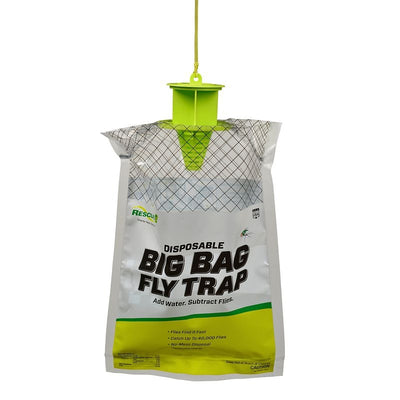 TBUL25_P.jpg